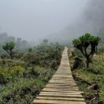 Ruwenzori