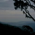 Ruwenzori