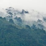 Ruwenzori