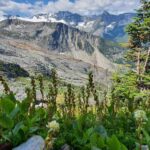 Kanada Góry Skaliste