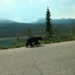 Kanada Góry Skaliste