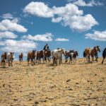 Mongolia
