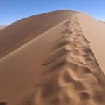 Na grani wydmy. Pierwsze kroki w piasku szybko przypominają, że pustynia Namib wygląda łagodnie tylko z daleka