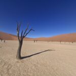 Deadvlei — jedno z tych miejsc, które trudno pomylić z jakimkolwiek innym. Martwe drzewa, jasne dno kotliny i czerwone wydmy tworzą niemal nierealny krajobraz
